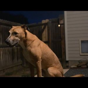 Meet your Posher, Johnathan